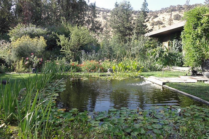 piscina natural cristobal elgueta